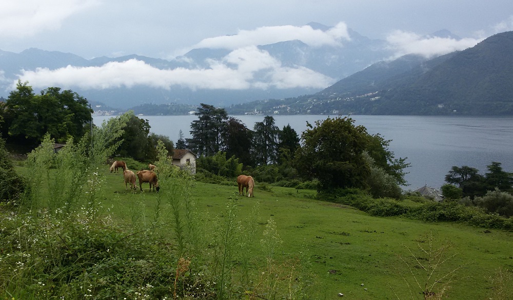 Le tue vacanze sul Lago di Como